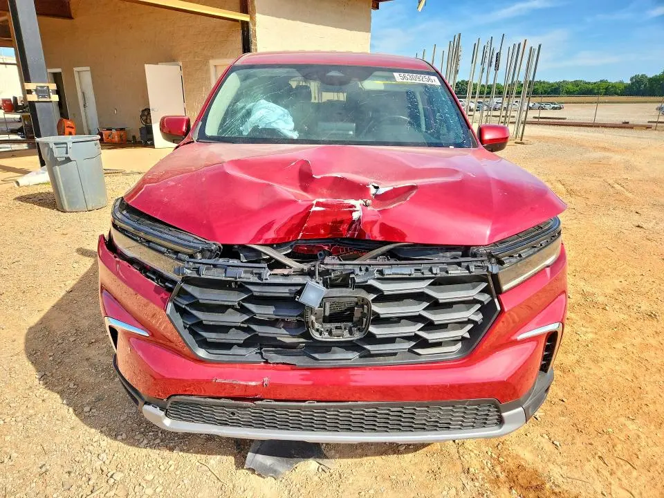 2024 HONDA PILOT EXL  
