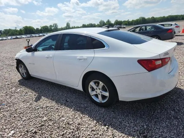 2019 CHEVROLET MALIBU LS  
