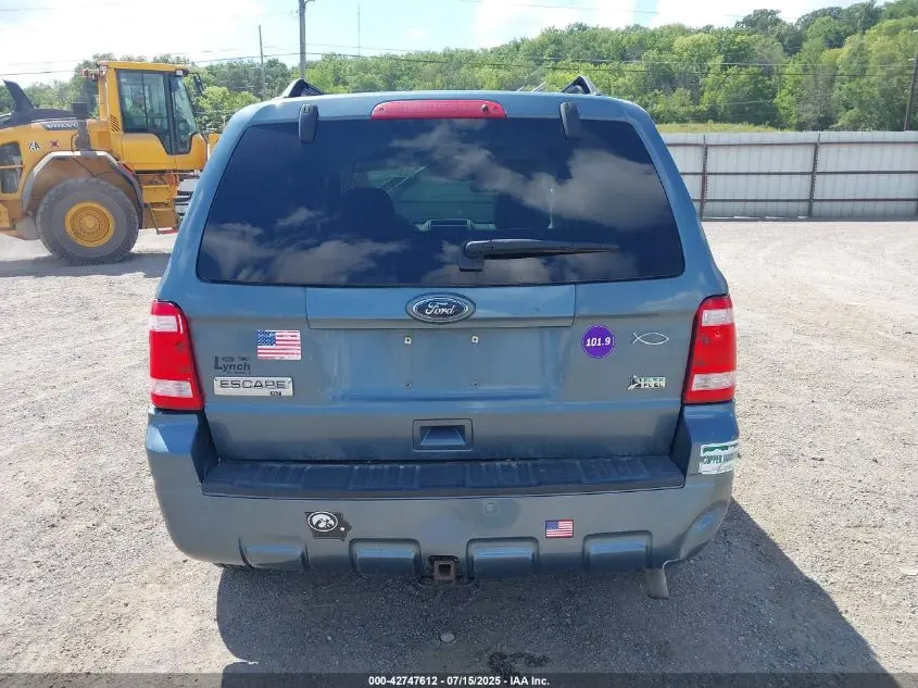 2010 FORD ESCAPE XLT