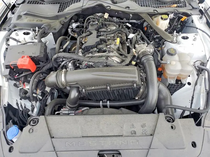 2025 FORD MUSTANG   