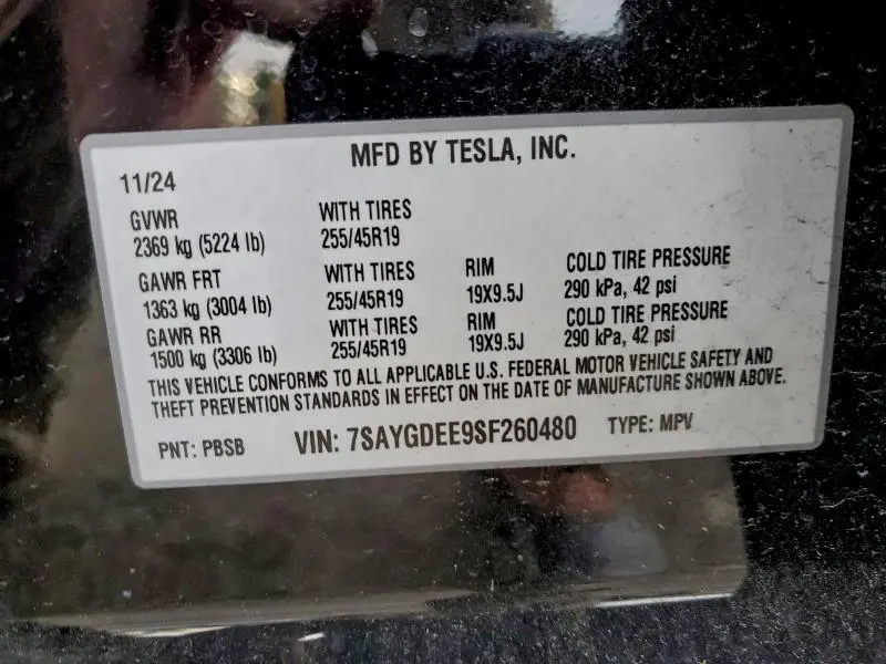 2025 TESLA MODEL Y   
