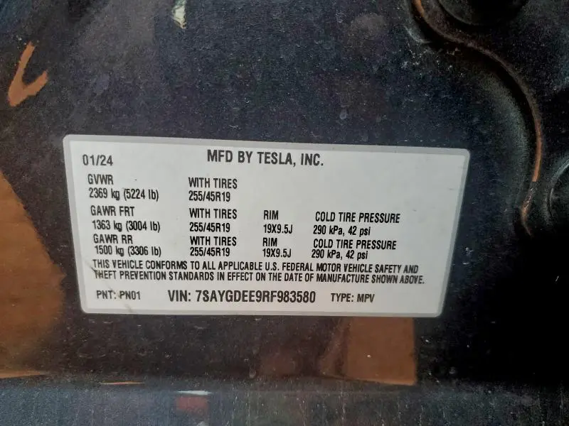 2024 TESLA MODEL Y   