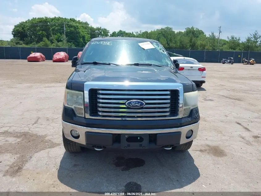 2010 FORD F-150 FX4/LARIAT/XL/XLT