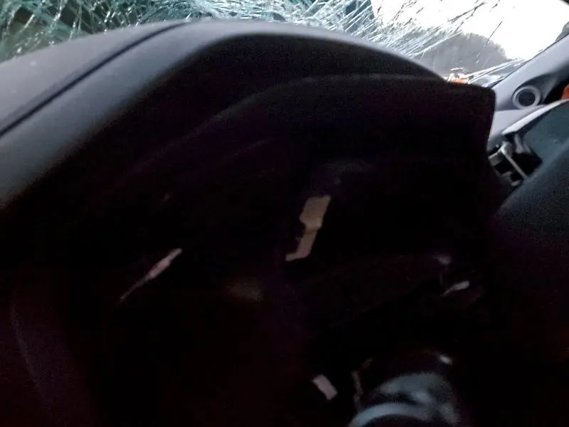 2019 HONDA PILOT EXL  