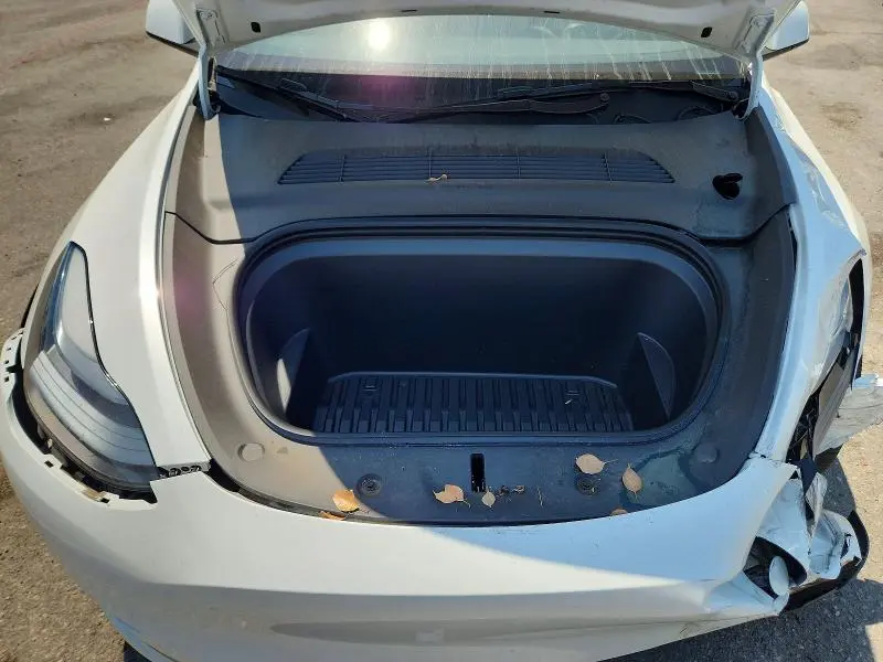2025 TESLA MODEL Y   