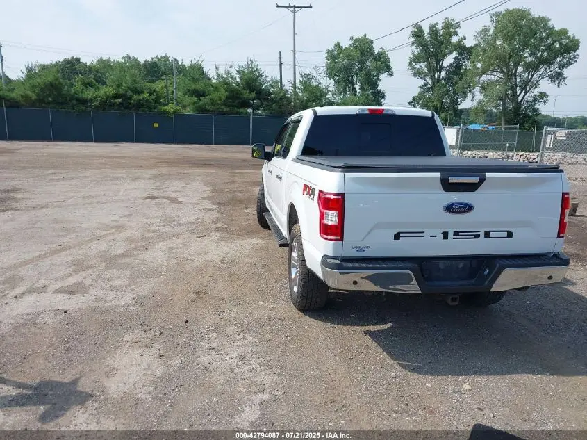 2019 FORD F-150 XLT