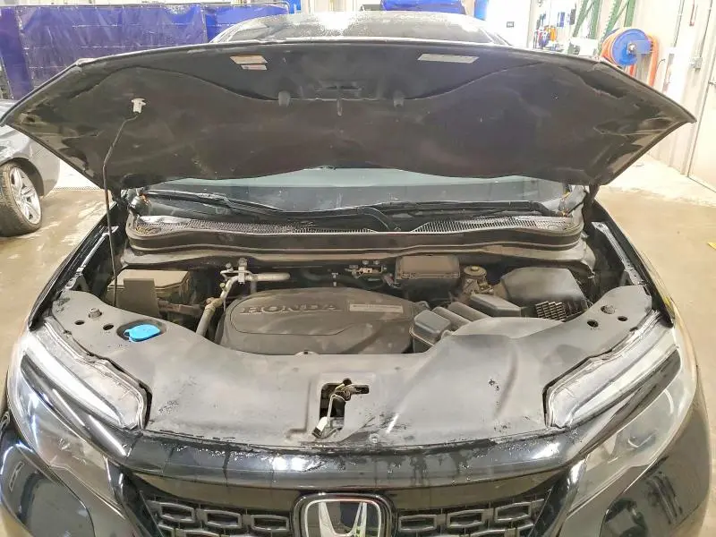 2019 HONDA PASSPORT SPORT  