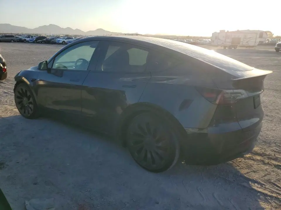 2024 TESLA MODEL Y   
