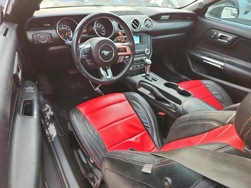 2019 FORD MUSTANG   