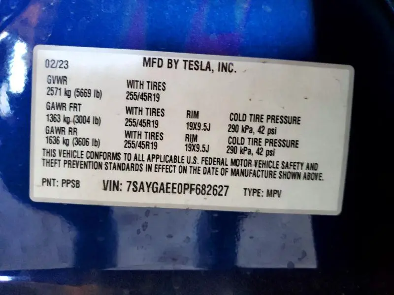 2023 TESLA MODEL Y   