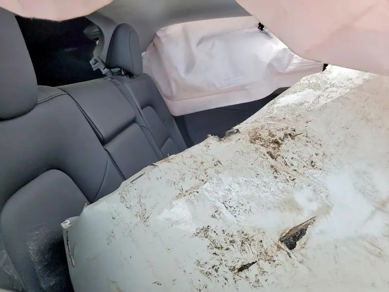 2025 TESLA MODEL Y   