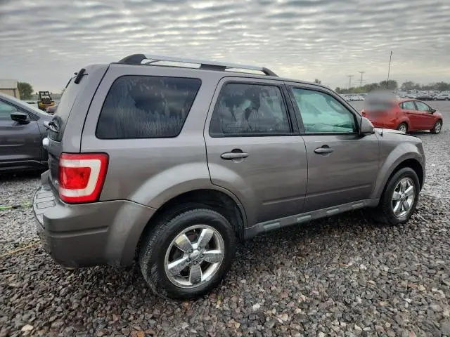 2010 FORD ESCAPE LIMITED  