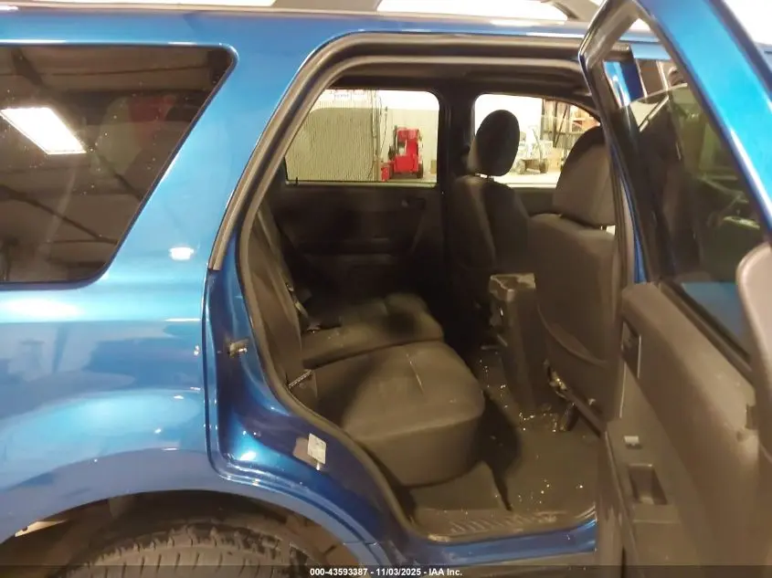 2011 FORD ESCAPE XLT