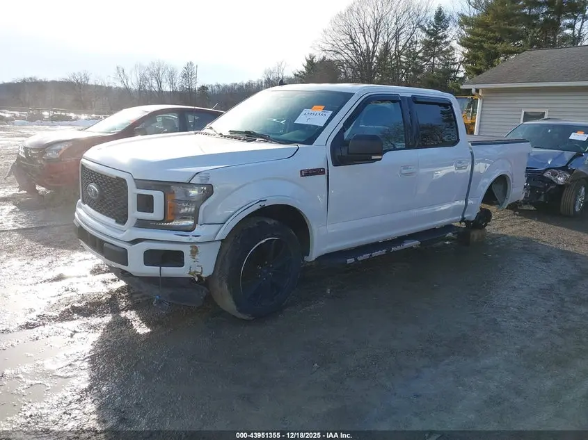 2019 FORD F-150 XLT