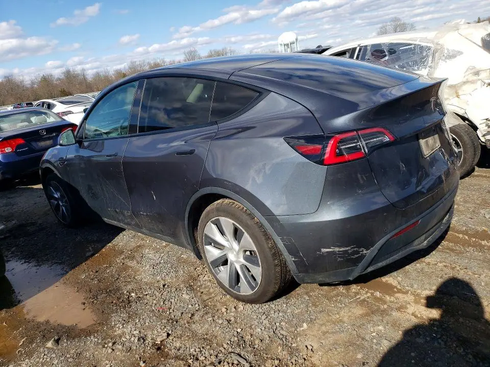 2021 TESLA MODEL Y   