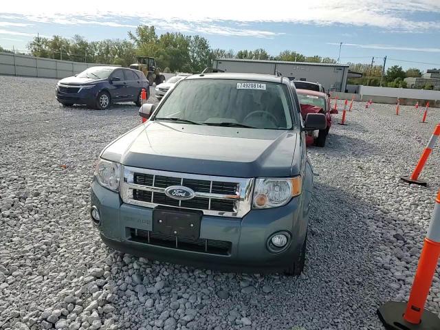 2011 FORD ESCAPE XLT