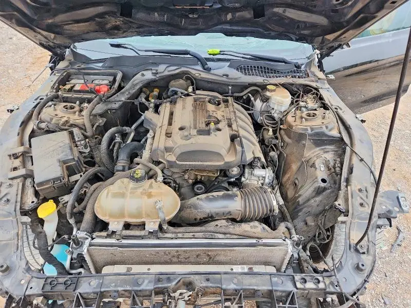 2019 FORD MUSTANG   