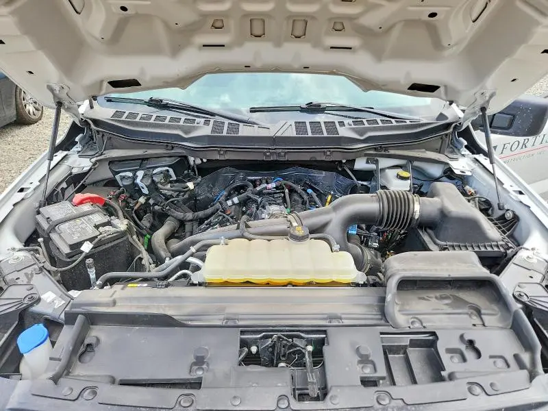 2025 FORD F150 XL  
