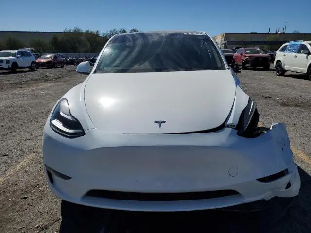 2025 TESLA MODEL Y   