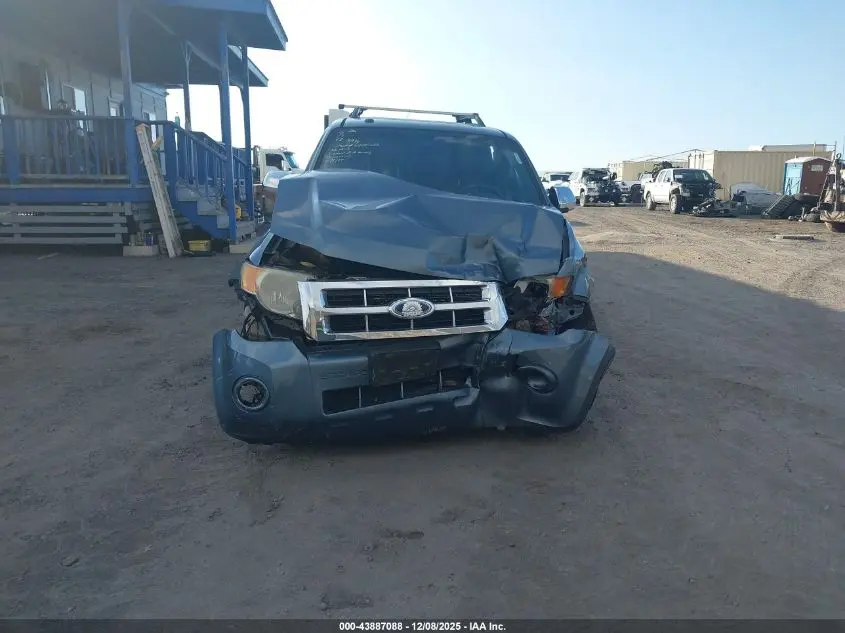 2011 FORD ESCAPE XLT