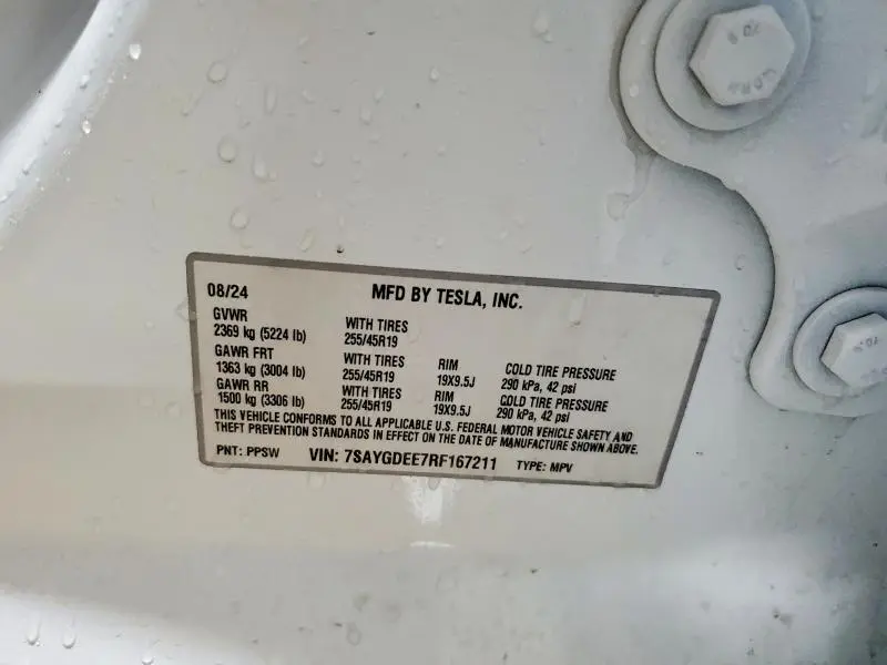 2024 TESLA MODEL Y   