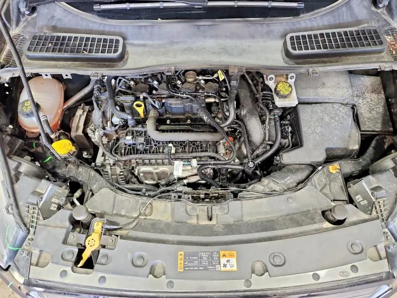 2019 FORD ESCAPE SEL  
