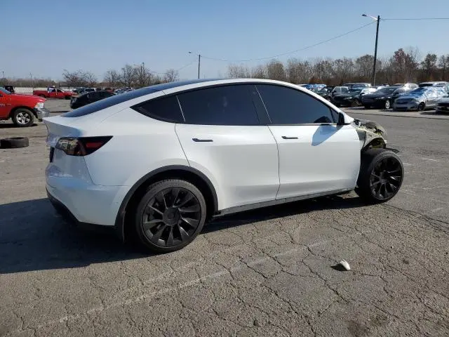 2021 TESLA MODEL Y   