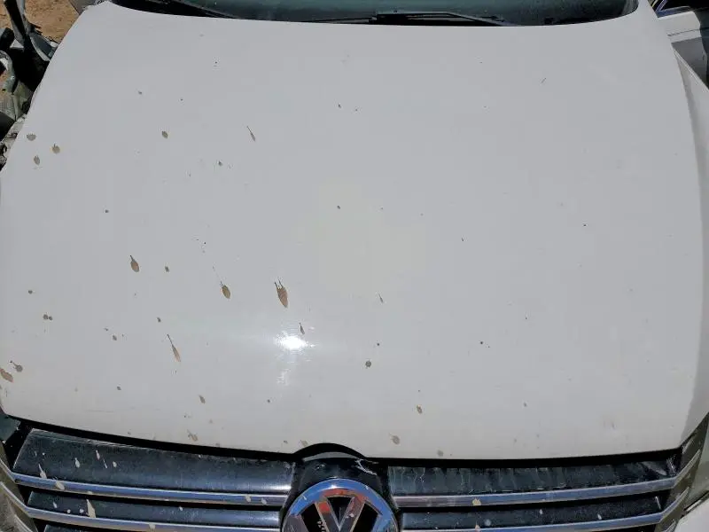 2014 VOLKSWAGEN PASSAT S  