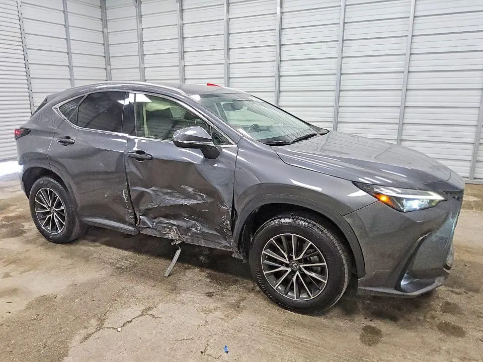 2023 LEXUS NX 250  