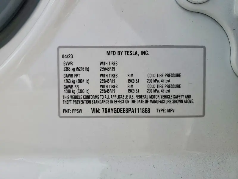 2023 TESLA MODEL Y   