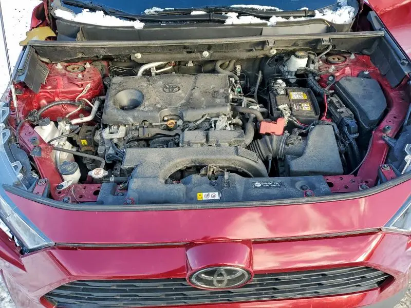 2019 TOYOTA RAV4 LE  