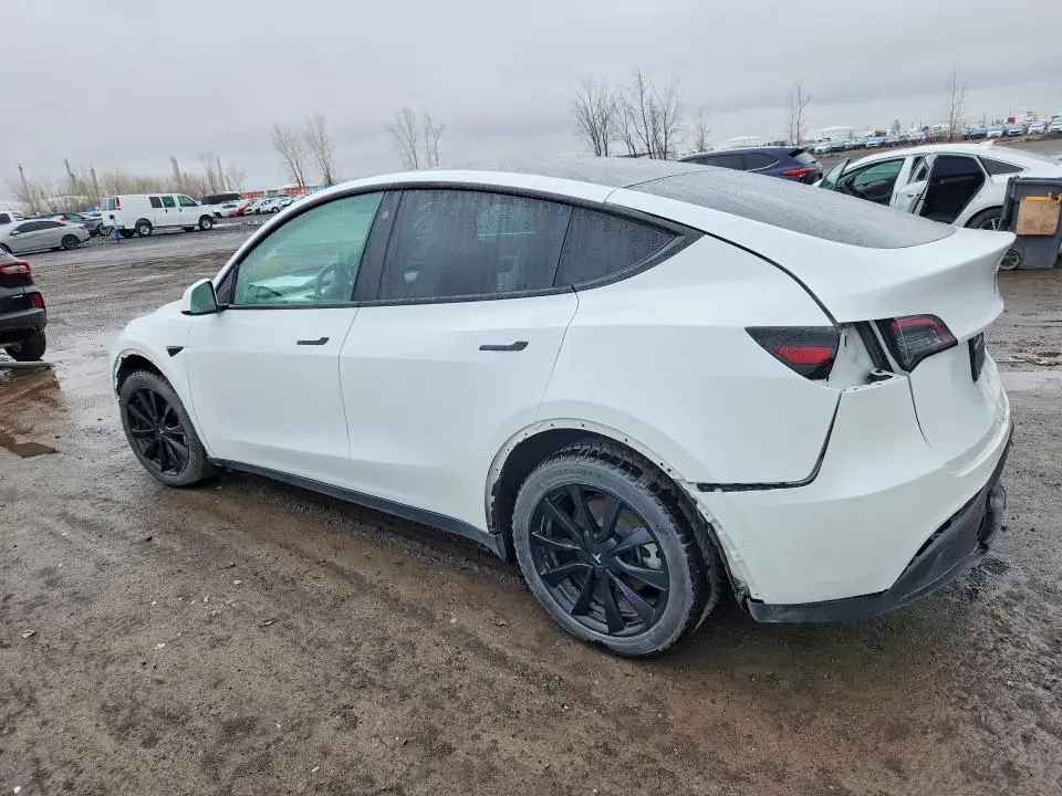 2021 TESLA MODEL Y   