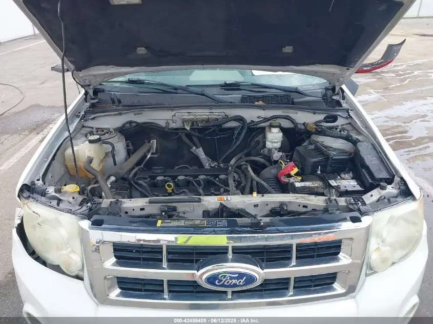 2010 FORD ESCAPE XLT