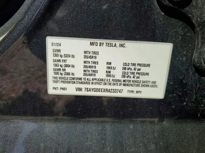 2024 TESLA MODEL Y   
