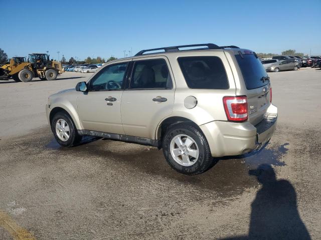 2010 FORD ESCAPE XLT