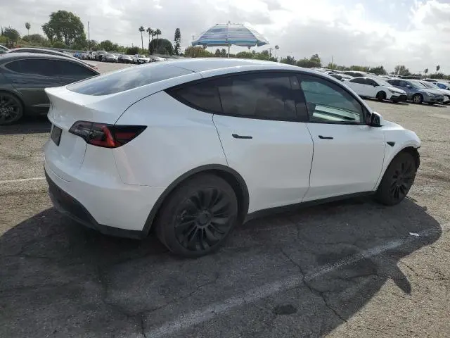 2020 TESLA MODEL Y   