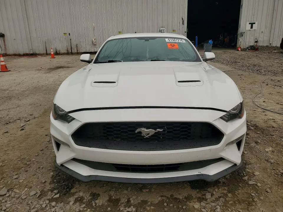 2019 FORD MUSTANG   
