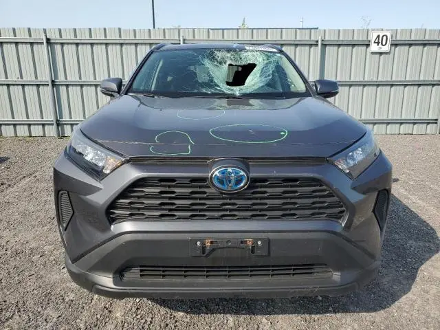 2024 TOYOTA RAV4 LE  