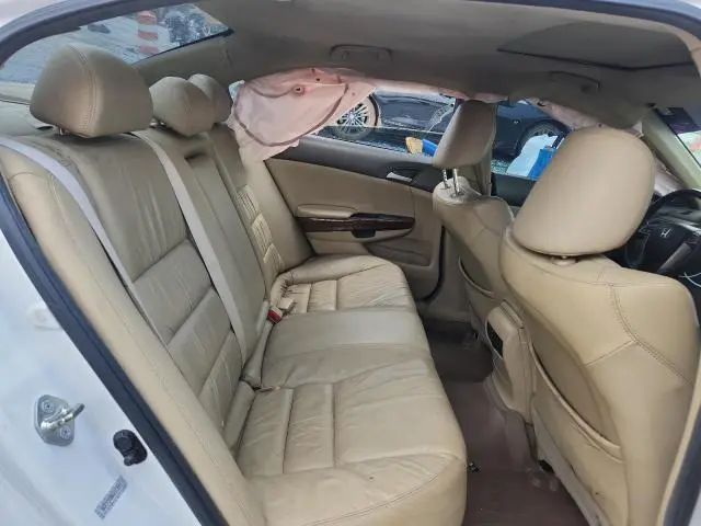 2010 HONDA ACCORD EXL  