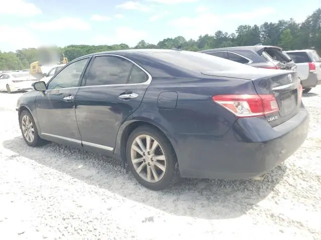 2010 LEXUS ES 350  