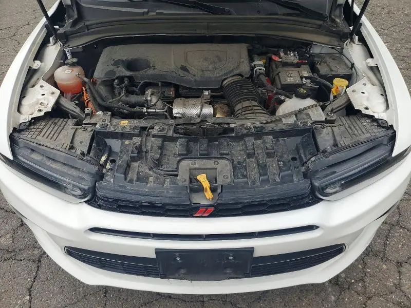 2024 DODGE HORNET R  