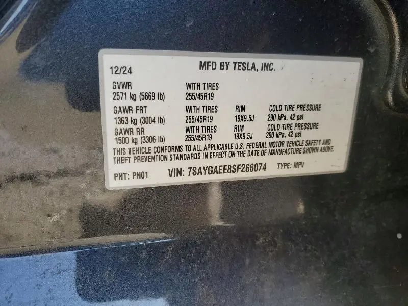 2025 TESLA MODEL Y   