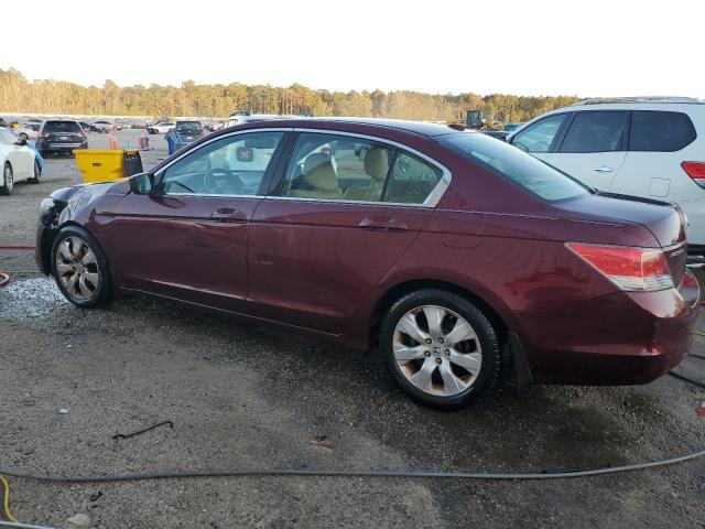 2010 HONDA ACCORD EXL