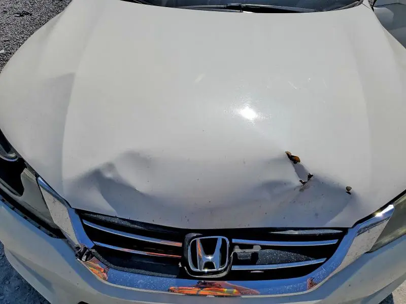 2014 HONDA ACCORD EXL  