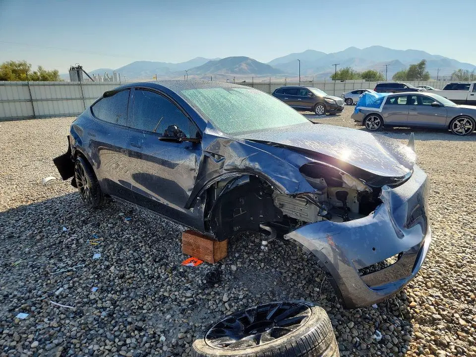 2021 TESLA MODEL Y   