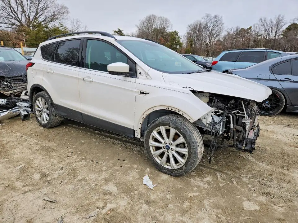 2019 FORD ESCAPE SEL  