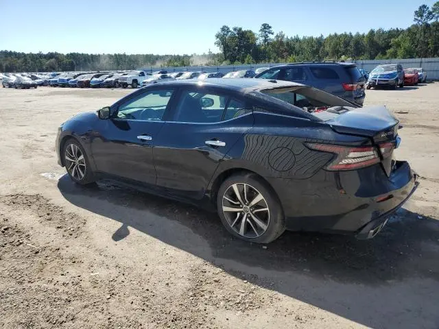 2020 NISSAN MAXIMA SL  