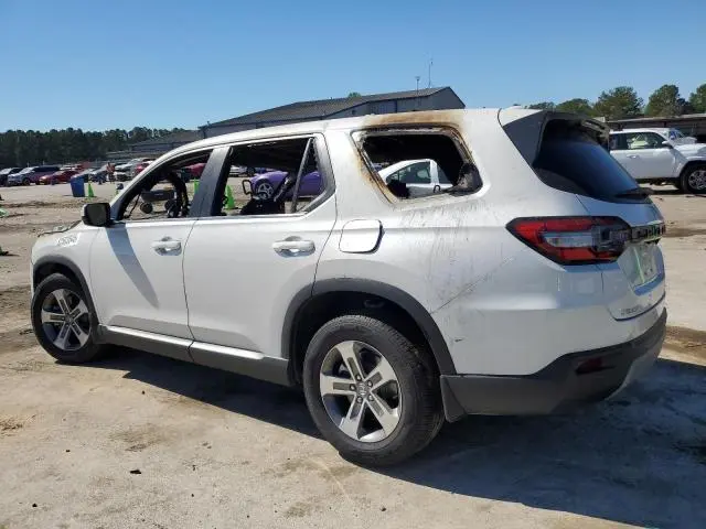 2025 HONDA PILOT EXL