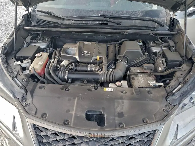 2020 LEXUS NX 300 F SPORT  