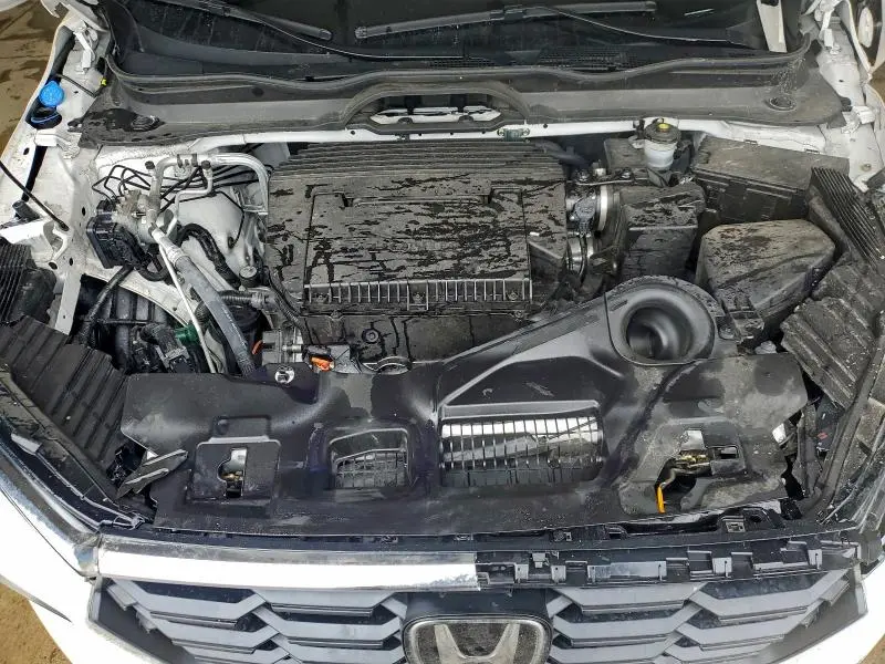 2025 HONDA PILOT EXL  